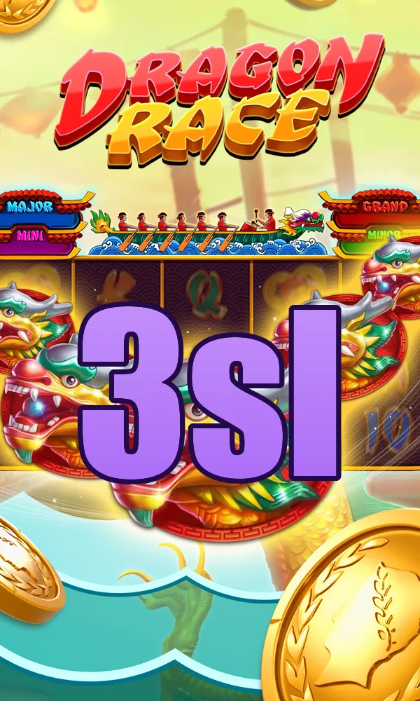 3sl Akses